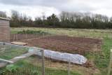 Allotment Gallery