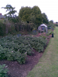 Allotment Gallery