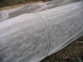 Thumbnail for version as of 17:00, 7 March 2006