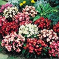 Thumbnail for version as of 16:51, 16 March 2006