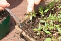 Thumbnail for version as of 09:27, 24 February 2006