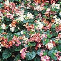 Thumbnail for version as of 16:57, 16 March 2006