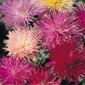 Thumbnail for version as of 08:22, 16 March 2006