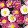 Thumbnail for version as of 10:33, 14 March 2006