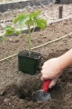 Thumbnail for version as of 09:15, 24 February 2006