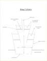 Thumbnail for version as of 16:24, 16 February 2006