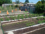 June 2010