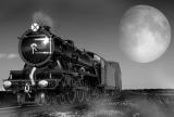 RHDR/2