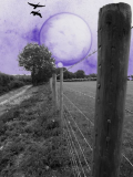 my fence!