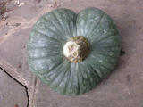 Green Turban 1
