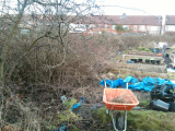 Just starting to clear