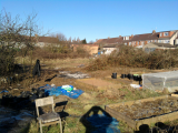 view from the greenhouse