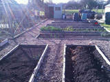 My plot march 10
