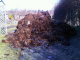 manure