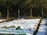 allotment