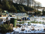 allotment