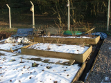 allotment