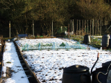 allotment