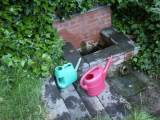 Spring Outfall