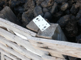 Manure Box 4