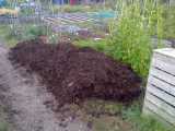 A big pile of poo