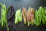 Beans August 2010
