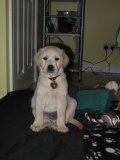 Finnegan