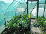 Net tunnel 2011