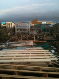 my allotment