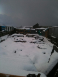 snow snow snow