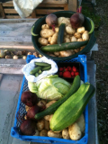 harvest box
