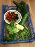 harvest box