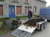 Manure