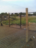 new plot