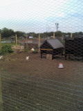new plot