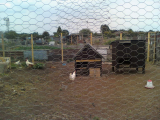 new plot