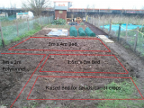 Final bed layout