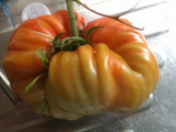 tomatoe 