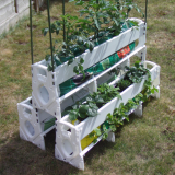 Kitchen Garden