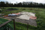 Just starting - Nov 2011