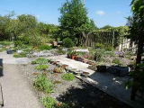 Side Garden
