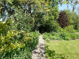 Yellow border