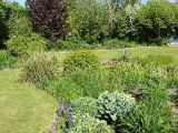 Pond bed