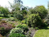 Shrub bank