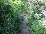 No 11