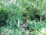 No 18