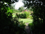No 20