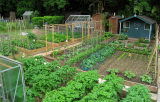 June on my plots