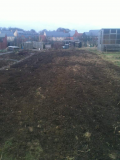 Our first allotment
