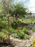paths and perennials